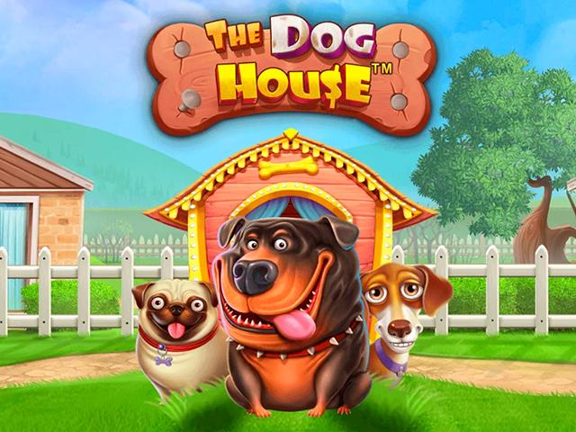 The Dog House